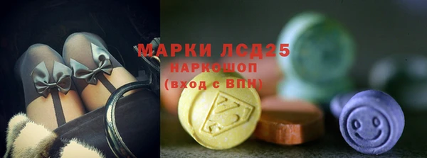 прущие грибы Алексеевка