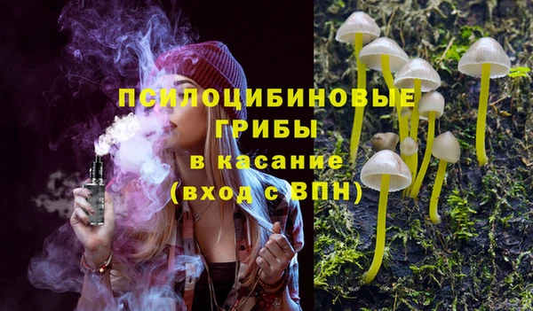 шишки Абдулино