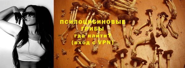 шишки Абдулино