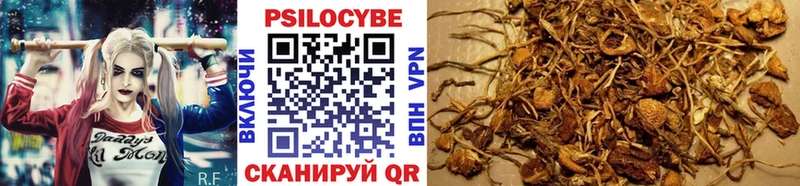 Псилоцибиновые грибы ЛСД  Плавск 